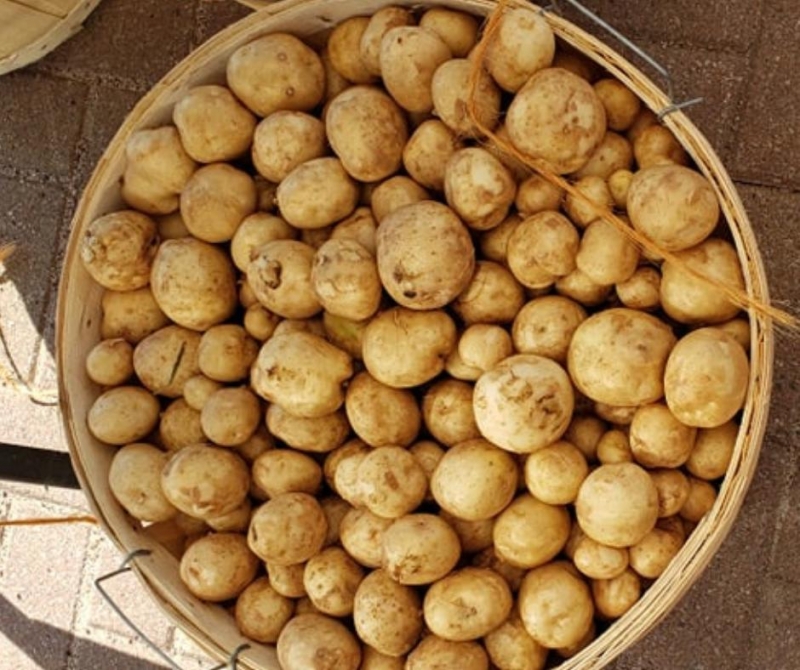 New White Potatoes image